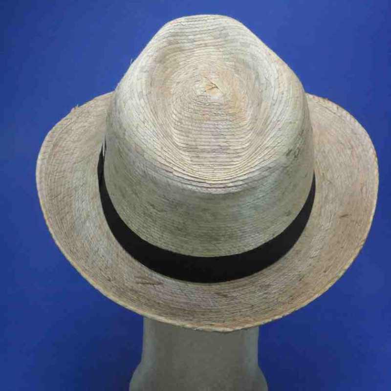 Chapeau de cowboy palmier avec bordure en cuir